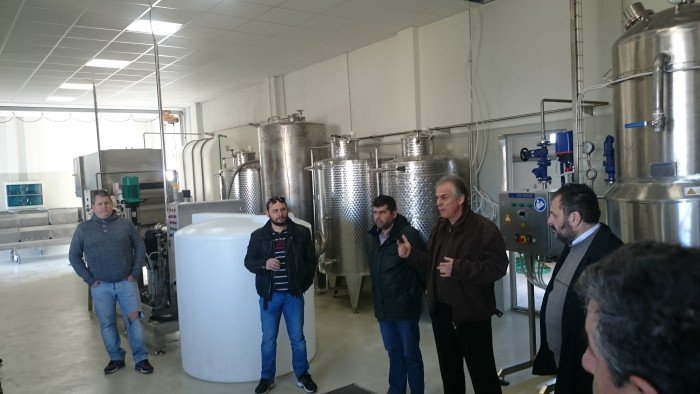 Στην Καρδίτσα το πρώτο εργοστάσια για στέβια στην Ευρώπη! [εικόνες] | iefimerida.gr 0