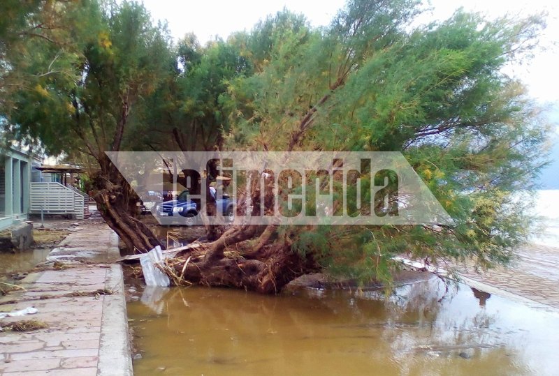 Θεομηνία στη Λέσβο -Σκηνές βιβλικής καταστροφής στο Μεσότοπο [εικόνες] | iefimerida.gr 0