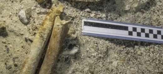 Δύο ελληνικά αρχαιολογικά ευρήματα στη λίστα με τις σημαντικότερες ανακαλύψεις της χρονιάς [εικόνες] | iefimerida.gr 2