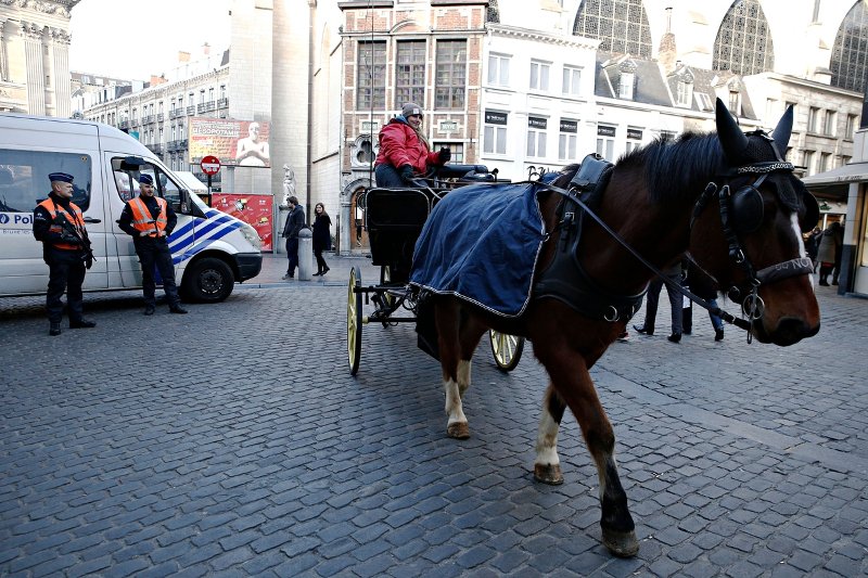 Ο τρόμος «φώλιασε» στην Ευρώπη -Φρούρια οι χριστουγεννιάτικες αγορές [εικόνες] | iefimerida.gr 1