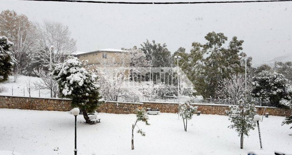 Επέλαση χιονιά: Στα λευκά η χώρα, το έστρωσε και στην Αθήνα [εικόνες] | iefimerida.gr 15