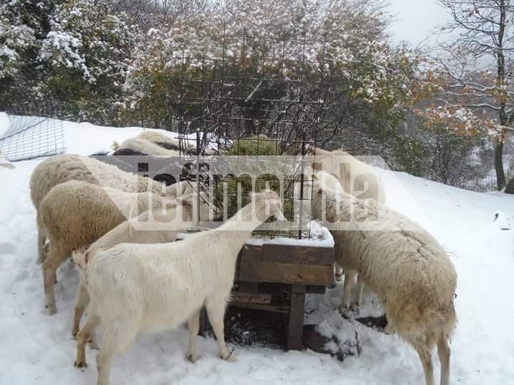 Το έστρωσε και στη Νάξο! Εντυπωσιακές εικόνες [εικόνες] | iefimerida.gr 7