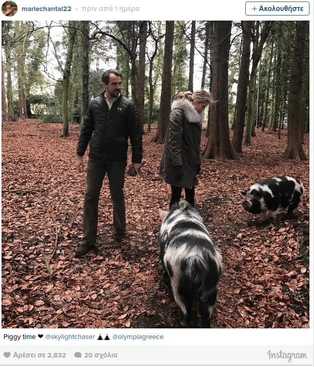 Τα «βασιλικά» Χριστούγεννα των Γλίξμπουργκ -Ονειρικές βόλτες στο δάσος με αγριογούρουνα [εικόνες] | iefimerida.gr 2