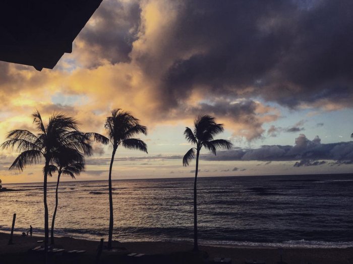 Μαρακάκης-Θωμοπούλου: Εκαναν Χριστούγεννα στην εξωτική Χαβάη [εικόνες] | iefimerida.gr 4
