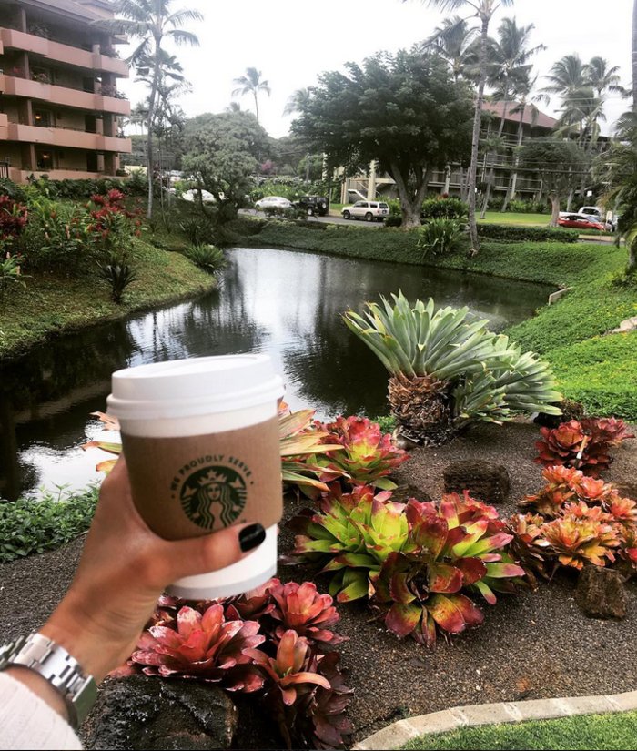 Μαρακάκης-Θωμοπούλου: Εκαναν Χριστούγεννα στην εξωτική Χαβάη [εικόνες] | iefimerida.gr 5