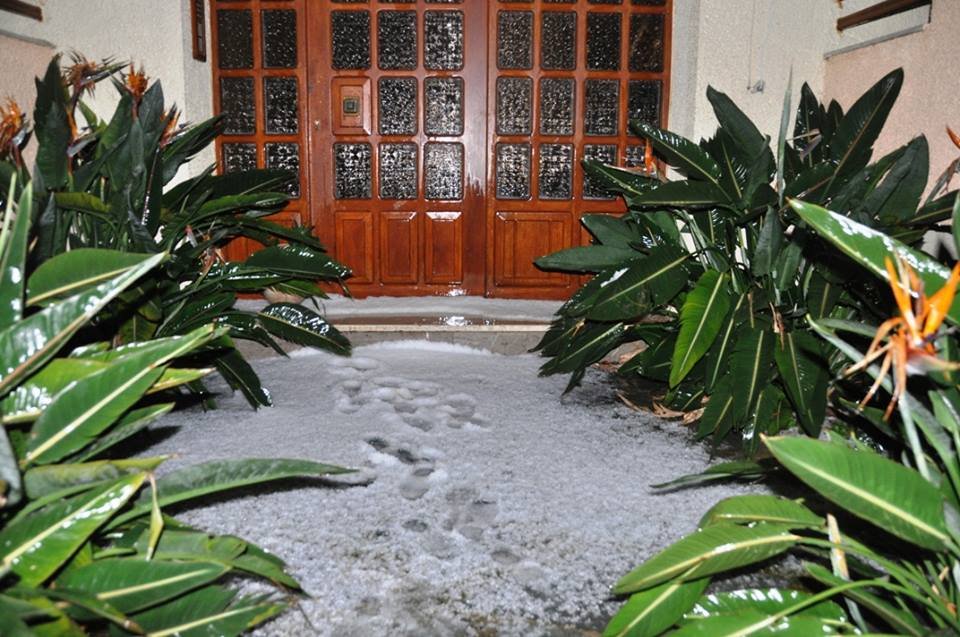 Το «έστρωσε» στα Χανιά [εικόνες & βίντεο] | iefimerida.gr 2