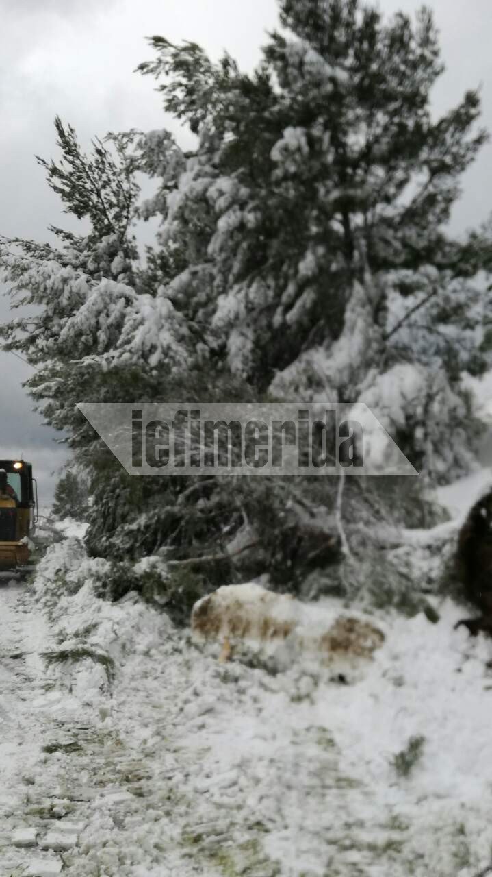 Η Αλόννησος εκπέμπει SOS: 1,5 μέτρο χιόνι, περιοχές χωρίς ρεύμα και νερό -Ο χιονιάς βύθισε βάρκες [εικόνες] | iefimerida.gr 0