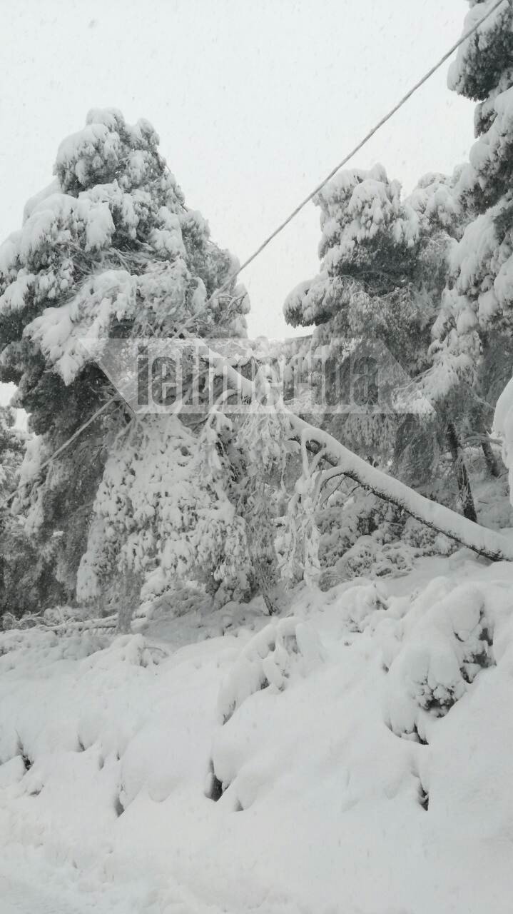 Η Αλόννησος εκπέμπει SOS: 1,5 μέτρο χιόνι, περιοχές χωρίς ρεύμα και νερό -Ο χιονιάς βύθισε βάρκες [εικόνες] | iefimerida.gr 2