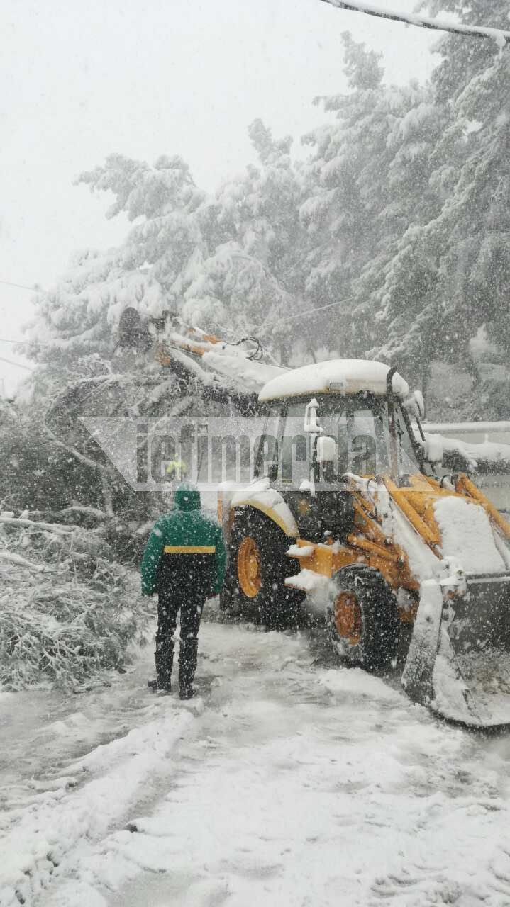 Η Αλόννησος εκπέμπει SOS: 1,5 μέτρο χιόνι, περιοχές χωρίς ρεύμα και νερό -Ο χιονιάς βύθισε βάρκες [εικόνες] | iefimerida.gr 3