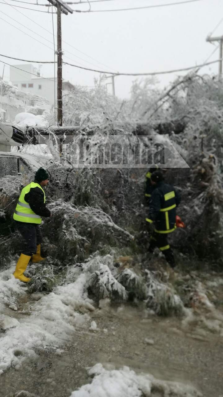 Η Αλόννησος εκπέμπει SOS: 1,5 μέτρο χιόνι, περιοχές χωρίς ρεύμα και νερό -Ο χιονιάς βύθισε βάρκες [εικόνες] | iefimerida.gr 4