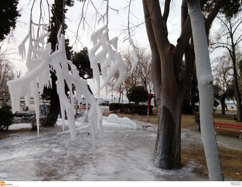 Απίστευτες εικόνες από πάρκο στη Θεσσαλονίκη -Πάγωσαν τα πάντα [εικόνες] | iefimerida.gr 2