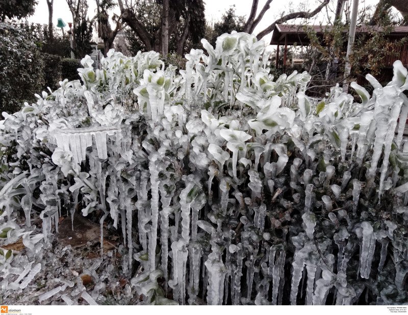 Απίστευτες εικόνες από πάρκο στη Θεσσαλονίκη -Πάγωσαν τα πάντα [εικόνες] | iefimerida.gr 6
