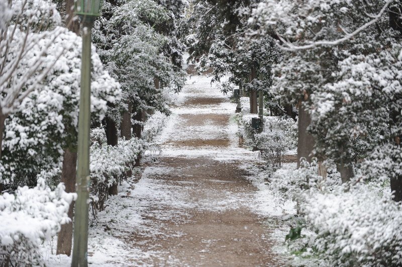 Η Αθήνα είναι πιο όμορφη χιονισμένη -Kαρέ από το κέντρο της πόλης [εικόνες] | iefimerida.gr 9