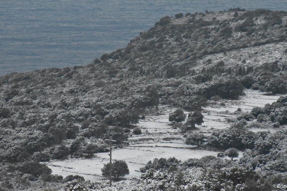 Στα λευκά ντύθηκε η Κεφαλονιά -Μετά από 30 χρόνια! [εικόνες] | iefimerida.gr 10