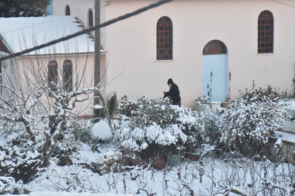 Στα λευκά ντύθηκε η Κεφαλονιά -Μετά από 30 χρόνια! [εικόνες] | iefimerida.gr 12