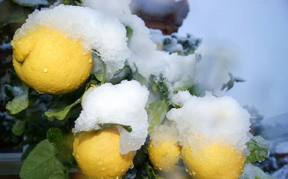 Η Ισπανία δεν έχει ξαναδεί τόσο χιόνι τα τελευταία 35 χρόνια [εικόνες] | iefimerida.gr 2