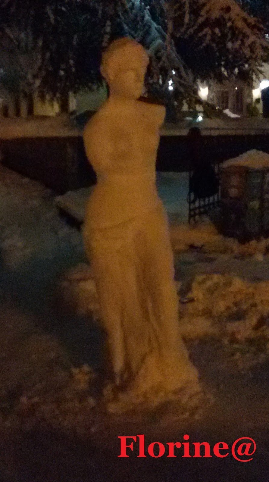 Απίστευτο γλυπτό στη Φλώρινα -Φοιτητής δημιούργησε την Αφροδίτη της Μήλου από... χιόνι [εικόνες] | iefimerida.gr 1