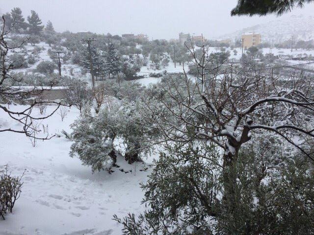 Το Twitter μας δείχνει τι έπαθαν οι χρήστες του με τα χιόνια [εικόνες] | iefimerida.gr 5