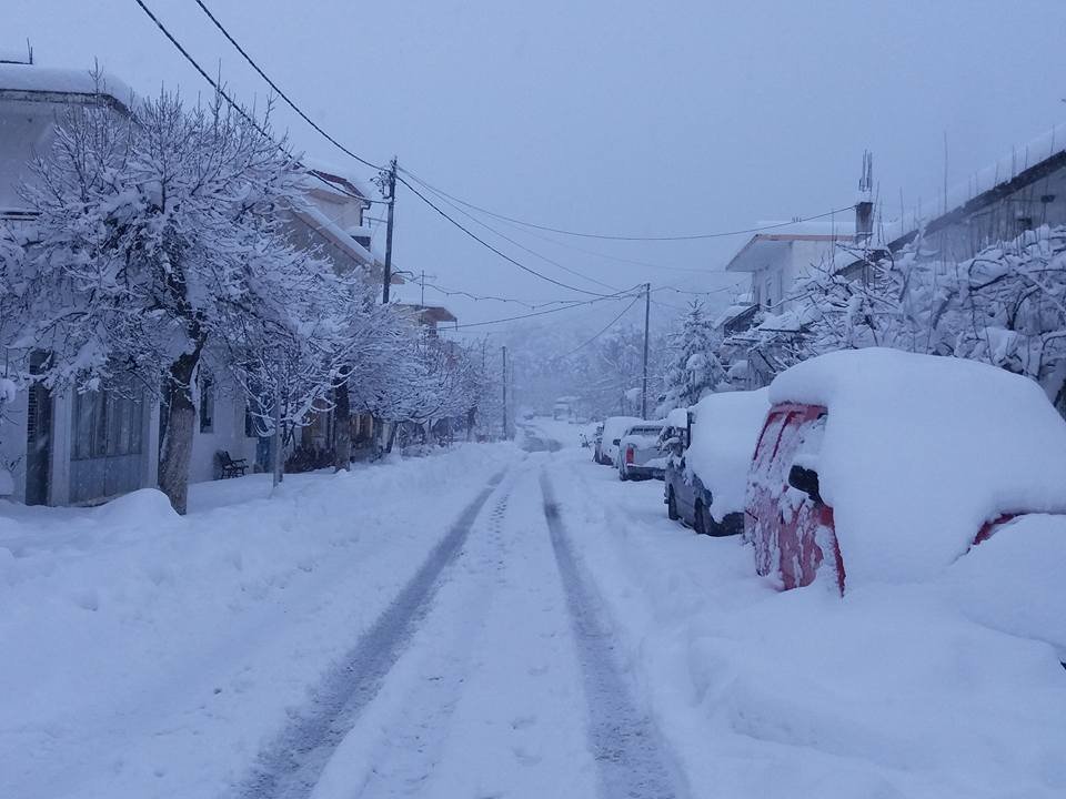 Κρήτη: Πάγωσε το Οροπέδιο Λασιθίου -Το θερμόμετρο έδειξε -15 [εικόνες] | iefimerida.gr 1