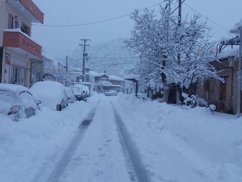 Κρήτη: Πάγωσε το Οροπέδιο Λασιθίου -Το θερμόμετρο έδειξε -15 [εικόνες] | iefimerida.gr 2