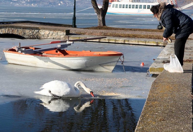 Πάγωσαν η Μικρή Πρέσπα και η λίμνη της Καστοριάς -Υπέροχες εικόνες | iefimerida.gr 0