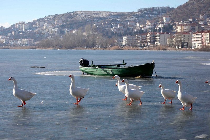 Πάγωσαν η Μικρή Πρέσπα και η λίμνη της Καστοριάς -Υπέροχες εικόνες | iefimerida.gr 1