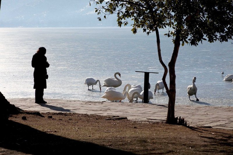 Πάγωσαν η Μικρή Πρέσπα και η λίμνη της Καστοριάς -Υπέροχες εικόνες | iefimerida.gr 2