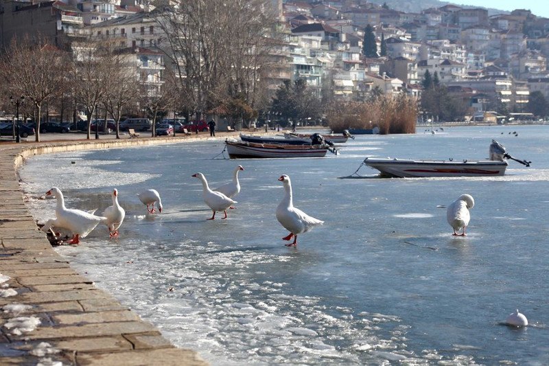 Πάγωσαν η Μικρή Πρέσπα και η λίμνη της Καστοριάς -Υπέροχες εικόνες | iefimerida.gr 4