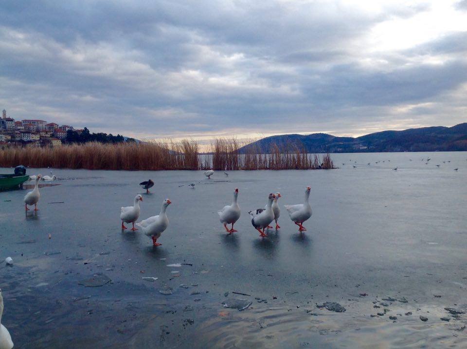 «Παγοδρόμια» η λίμνη της Καστοριάς και η Χειμαδίτιδα στη Φλώρινα [εικόνες]  | iefimerida.gr 2