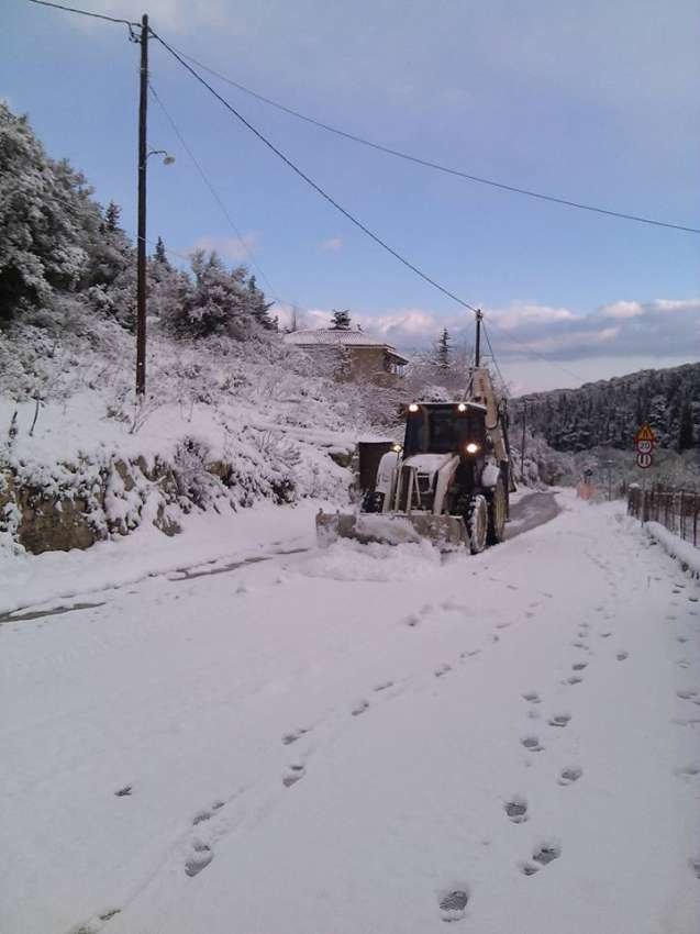 Στα λευκά ντύθηκε η Κεφαλονιά -Μετά από 30 χρόνια! [εικόνες] | iefimerida.gr 15