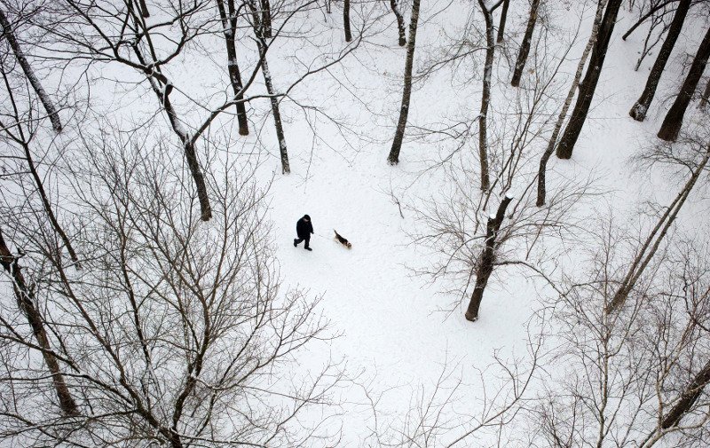 Κύμα ψύχους σαρώνει την Ευρώπη: Τουλάχιστον 20 οι νεκροί  [εικόνες] | iefimerida.gr 1