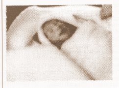 Το μωρό που γέννησε η Μαρία Κάλλας -Μια απίστευτη και τραγική ιστορία [εικόνες] | iefimerida.gr 8