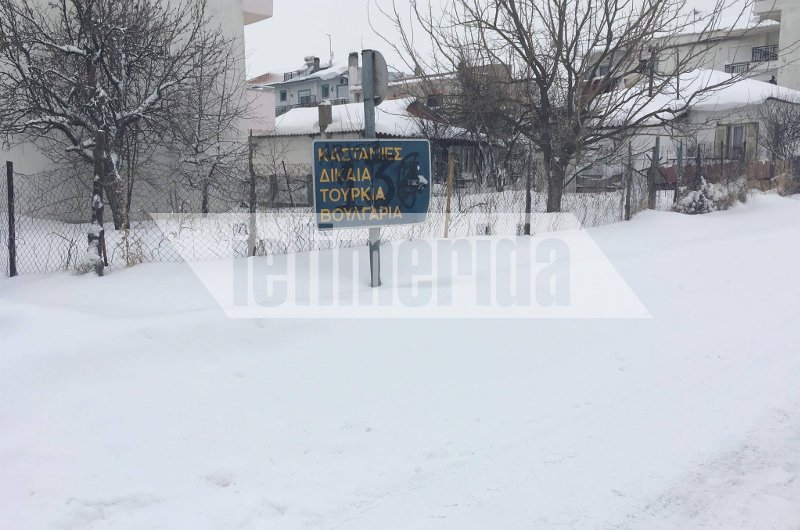 Θαμμένη στο χιόνι η Ορεστιάδα -14 οχήματα του στρατού στη μάχη του αποχιονισμού [εικόνες] | iefimerida.gr 2