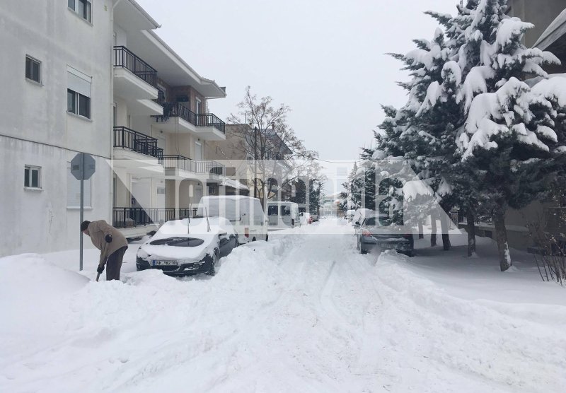 Θαμμένη στο χιόνι η Ορεστιάδα -14 οχήματα του στρατού στη μάχη του αποχιονισμού [εικόνες] | iefimerida.gr 3