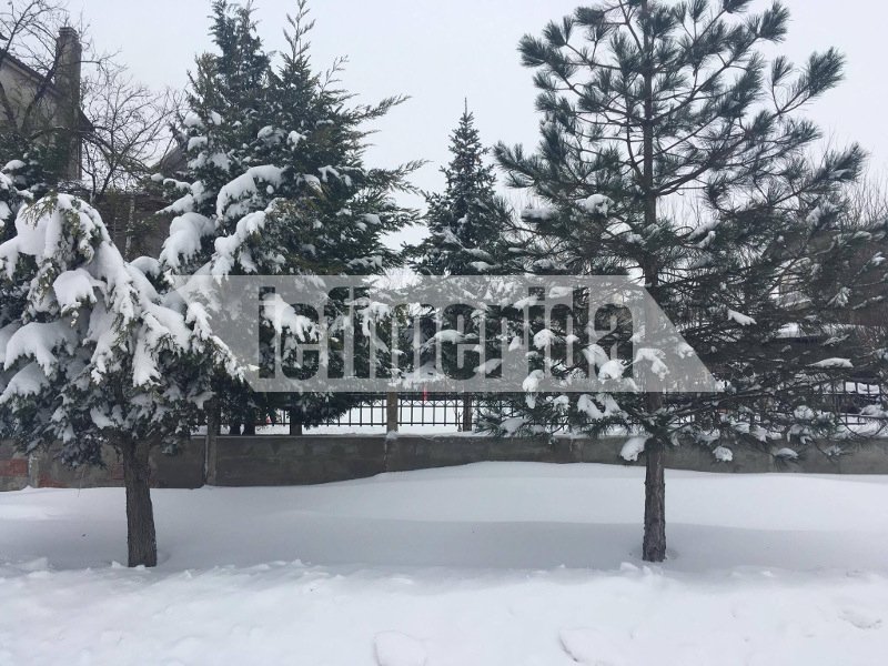 Θαμμένη στο χιόνι η Ορεστιάδα -14 οχήματα του στρατού στη μάχη του αποχιονισμού [εικόνες] | iefimerida.gr 6