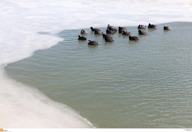Εντυπωσιακές εικόνες από όλη την Ελλάδα: Πάγωσαν σιντριβάνια, λίμνες, υδραγωγεία! [εικόνες] | iefimerida.gr 18