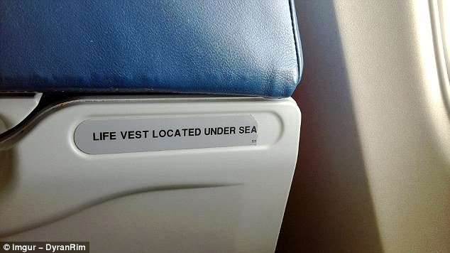 Οι πιο απίστευτες -πραγματικές - σκηνές σε αεροπορικές πτήσεις [εικόνες] | iefimerida.gr 2