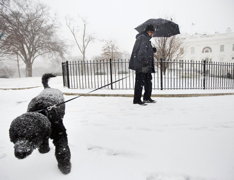 Ο σκύλος των Ομπάμα δάγκωσε στο πρόσωπο 18χρονη [εικόνες] | iefimerida.gr 2