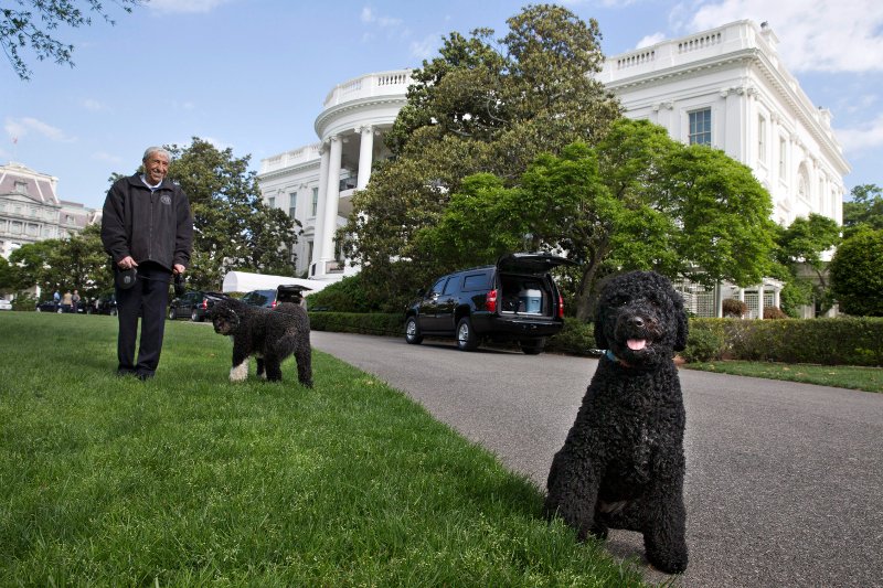 Ο σκύλος των Ομπάμα δάγκωσε στο πρόσωπο 18χρονη [εικόνες] | iefimerida.gr 4