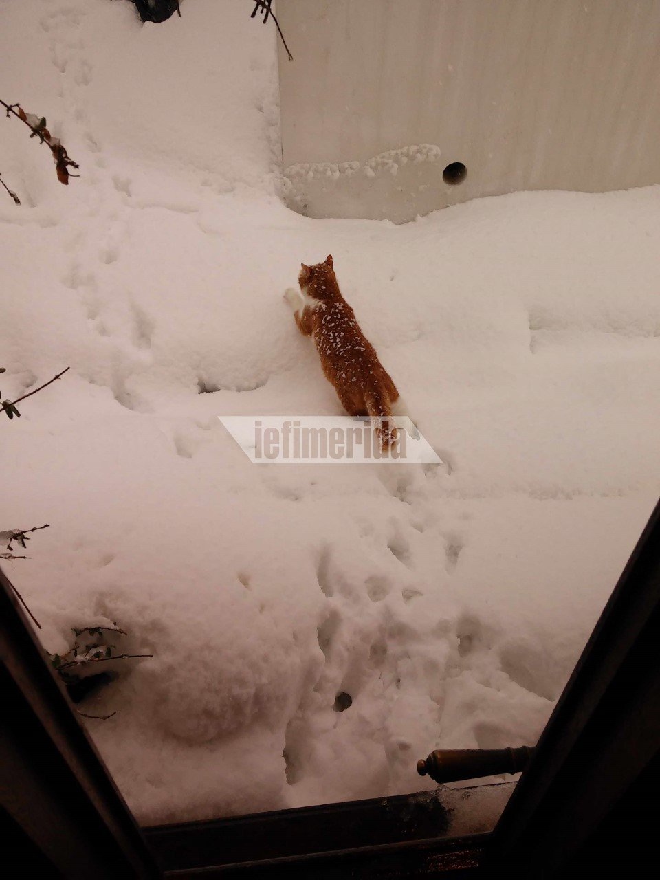 Η Σκόπελος θαμμένη στο χιόνι, μέσα από τις φωτογραφίες των κατοίκων της [εικόνες]  | iefimerida.gr 9