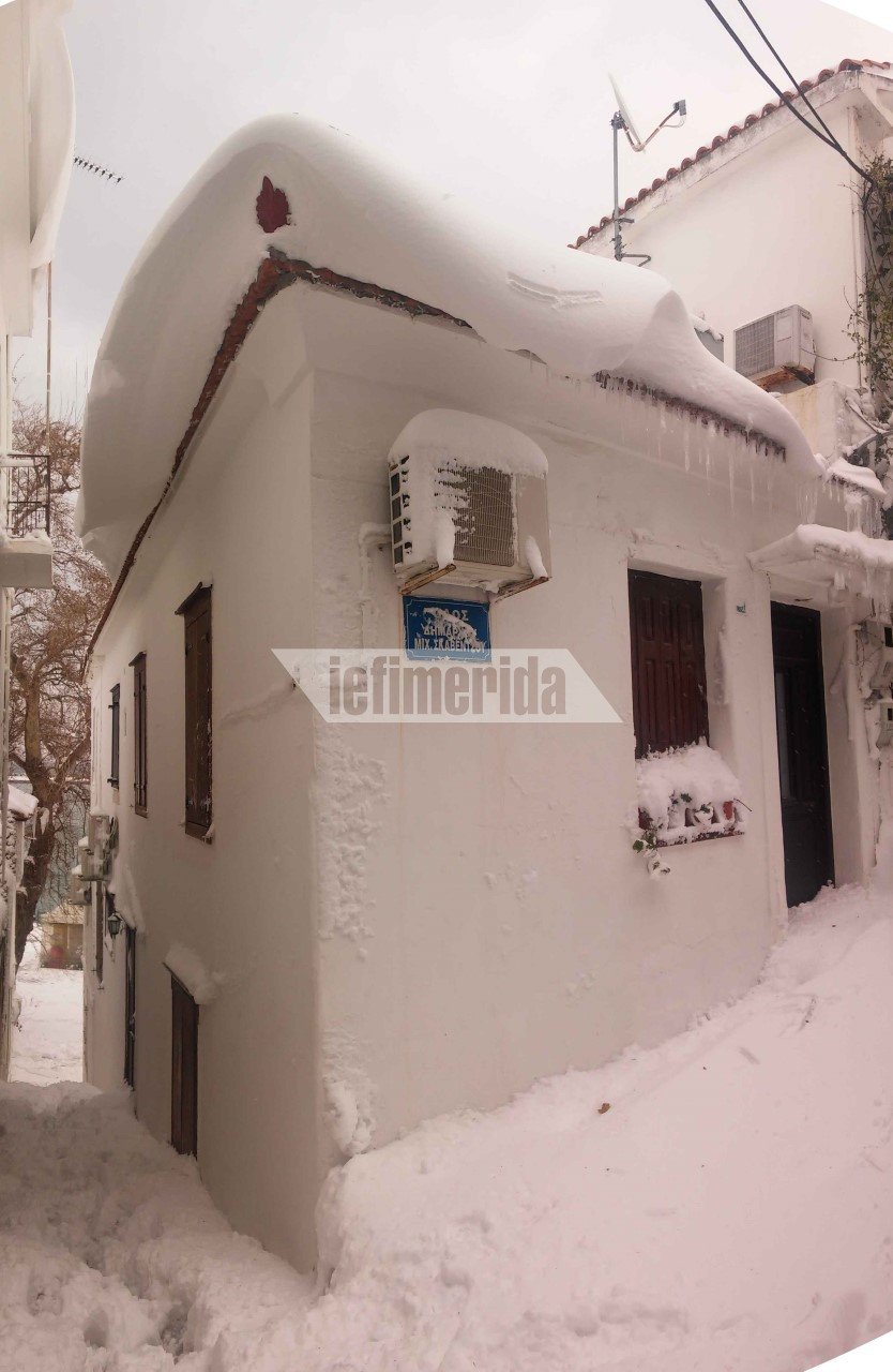 Η Σκόπελος θαμμένη στο χιόνι, μέσα από τις φωτογραφίες των κατοίκων της [εικόνες]  | iefimerida.gr 5