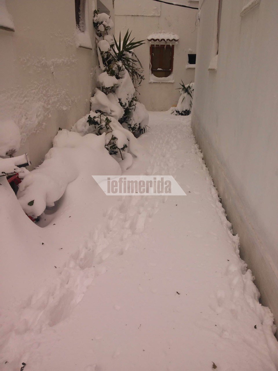 Η Σκόπελος θαμμένη στο χιόνι, μέσα από τις φωτογραφίες των κατοίκων της [εικόνες]  | iefimerida.gr 7