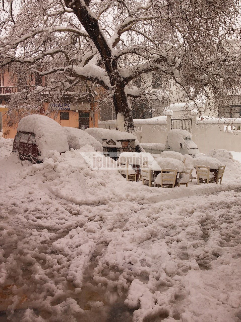 Η Σκόπελος θαμμένη στο χιόνι, μέσα από τις φωτογραφίες των κατοίκων της [εικόνες]  | iefimerida.gr 8