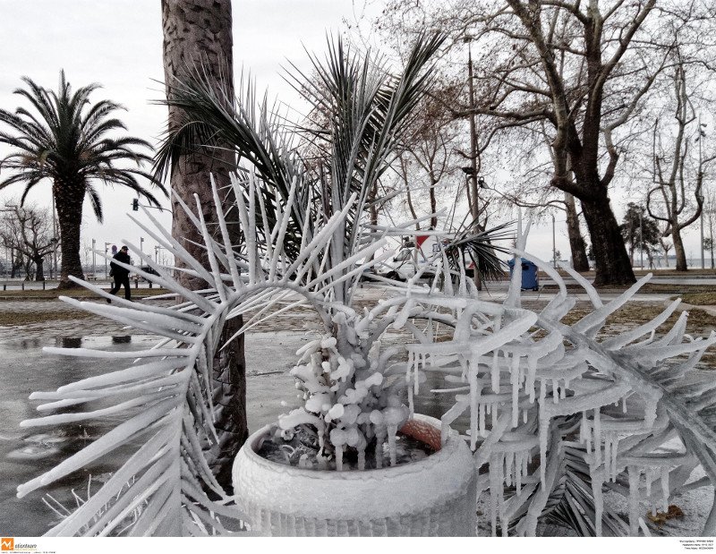 Εντυπωσιακές εικόνες από όλη την Ελλάδα: Πάγωσαν σιντριβάνια, λίμνες, υδραγωγεία! [εικόνες] | iefimerida.gr 33