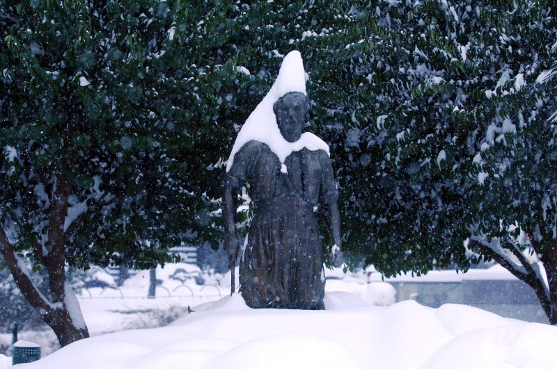 Ρωσία θυμίζουν τα Τρίκαλα -Σφοδρή χιονόπτωση, στο μισό μέτρο το χιόνι [εικόνες & βίντεο] | iefimerida.gr 3