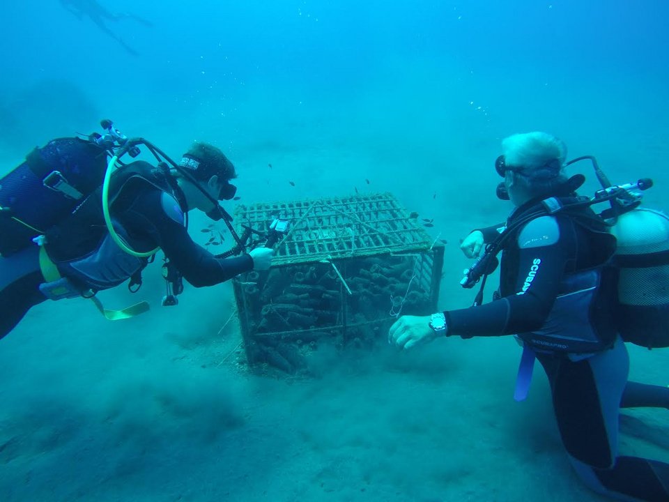 Το κρασί που αναδύεται από το βυθό της Σαντορίνης [εικόνες & βίντεο] | iefimerida.gr 1