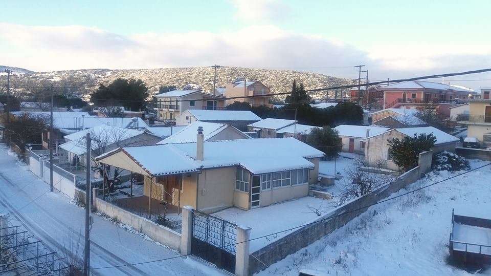 Στα λευκά ντύθηκε η Κεφαλονιά -Μετά από 30 χρόνια! [εικόνες] | iefimerida.gr 17