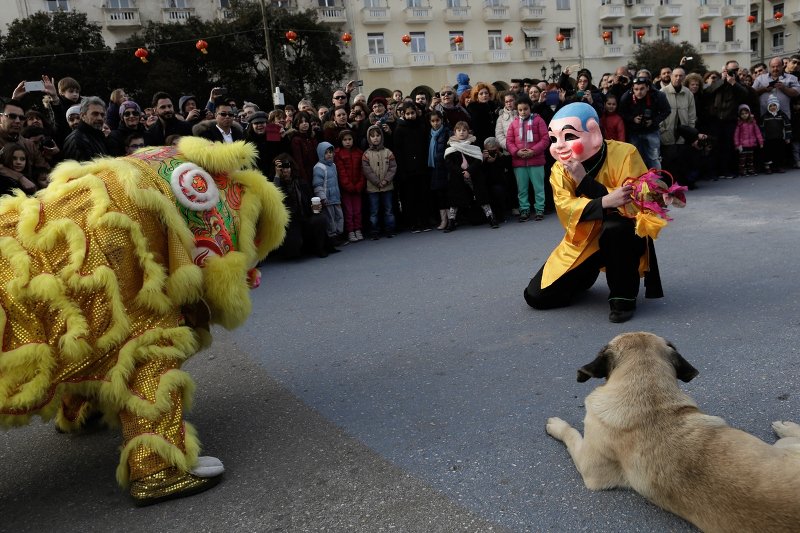 Χρώματα και μουσικές στην Κινέζικη Πρωτοχρονιά της Θεσσαλονίκης [εικόνες] | iefimerida.gr 0