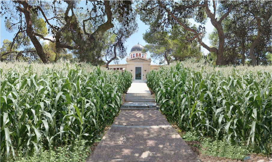 Αργεντινός καλλιτέχνης γεμίζει καλαμπόκια και αρωματικά φυτά το Αστεροσκοπείο Αθηνών [εικόνα]  | iefimerida.gr 0