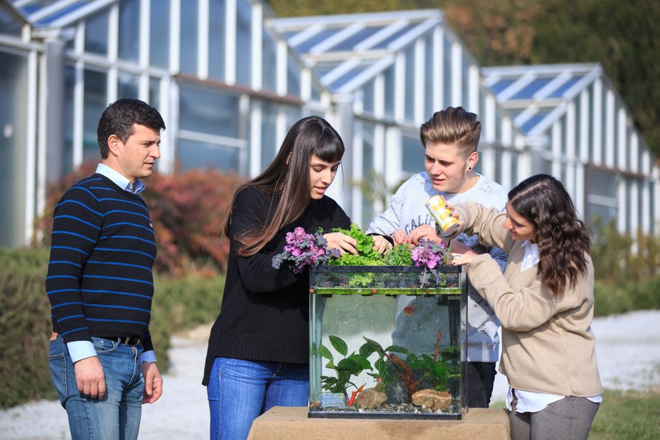 Μαθητές καλλιεργούν βιολογικά λαχανικά μέσα σε ενυδρείο με ψάρια [εικόνες]  | iefimerida.gr 0